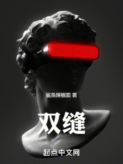 ˫